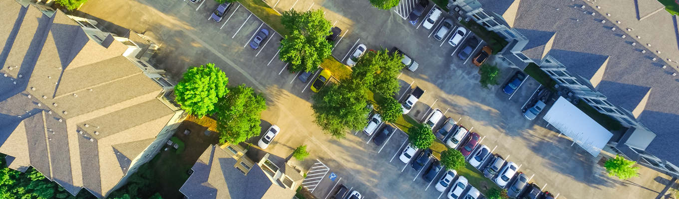 Verkehrssichere Außenanlagen von A wie Astbruch bis Z wie Zuwegung